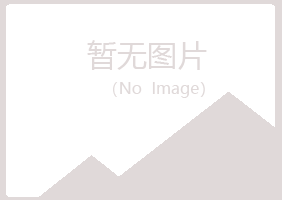 曲沃县迷失设计有限公司